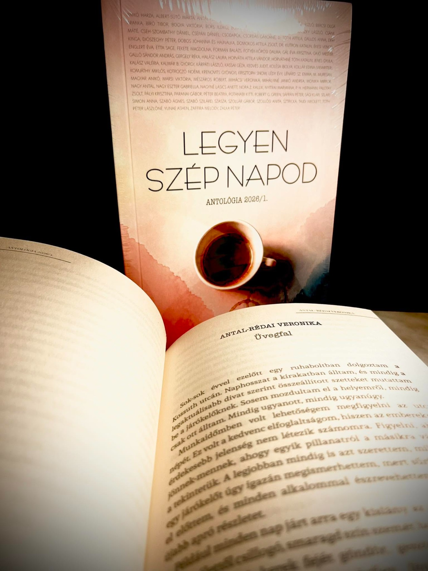 Legyen szép napod/Antológia/Publio Kiadó